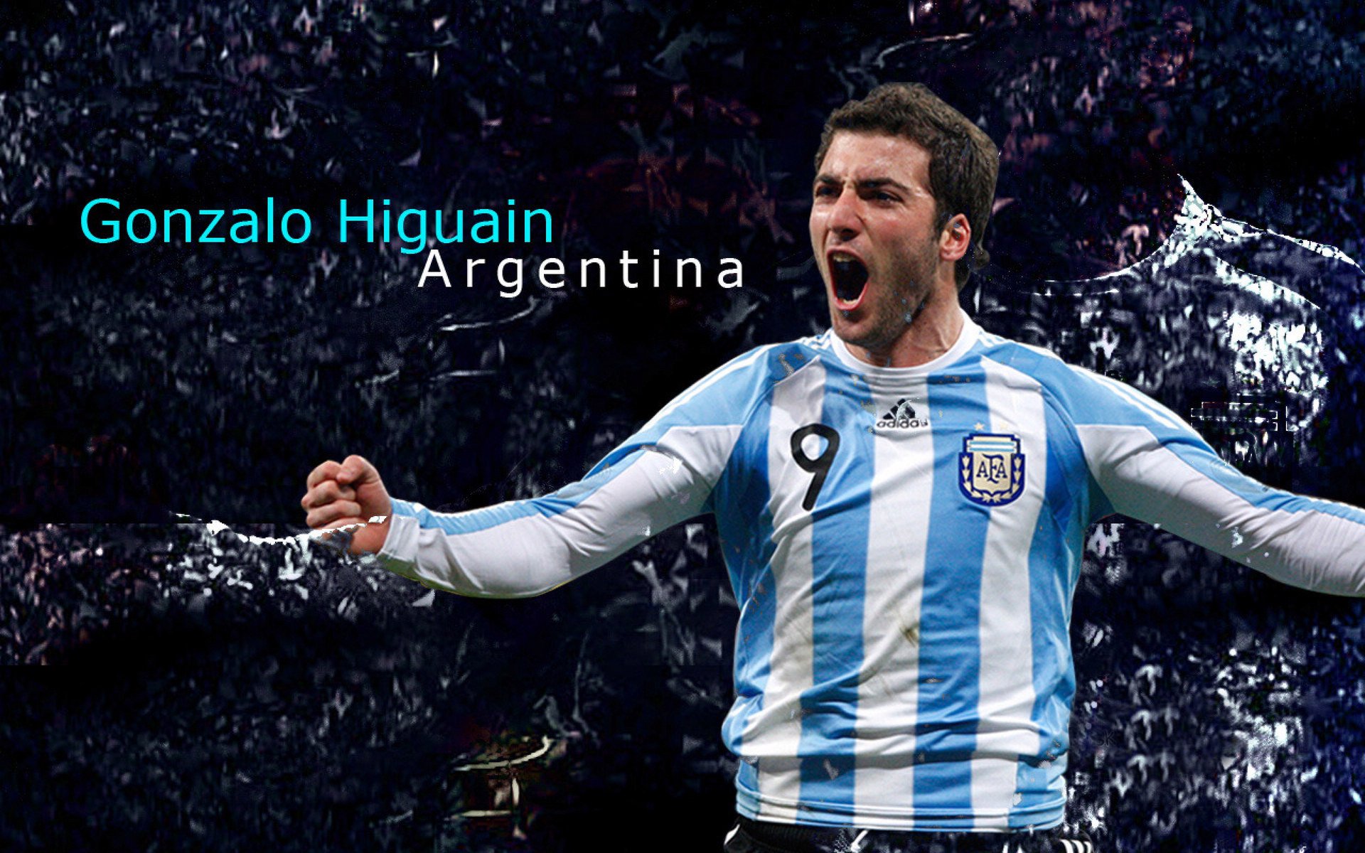 ayx体育download-国际拳击联合会举办裁判培训班，提升执裁水平，国际拳击联盟